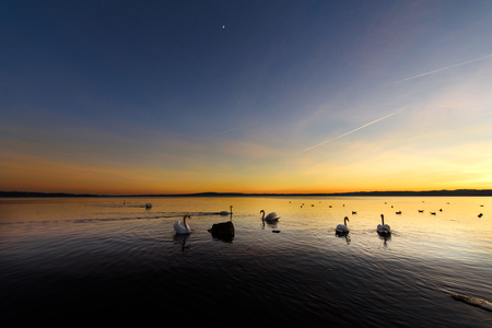 Sunset, Bracciano Lake, Rome, Italyの写真素材