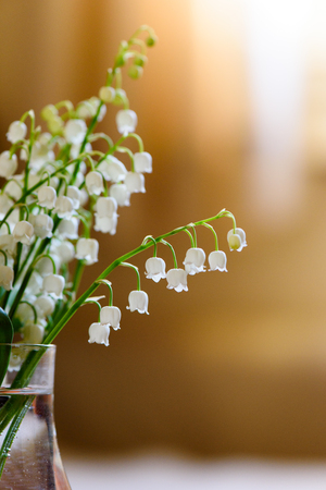 White Trush Flower (Convallaria majalis) o Lily Flowerの写真素材
