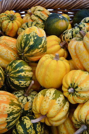 Gourds for Sale at the Farmers Market