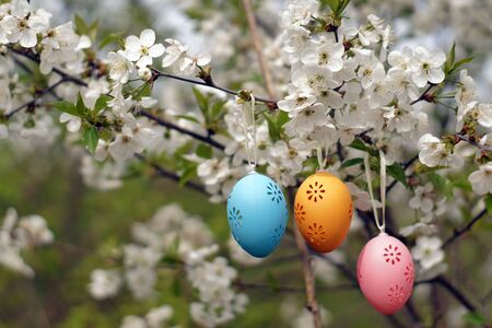 Three decorative Easter eggs hanging on blooming branch. Spring blooming, holiday greeting card...