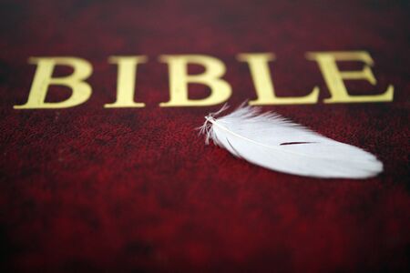 White bird feather on red bible book cover. Close up.