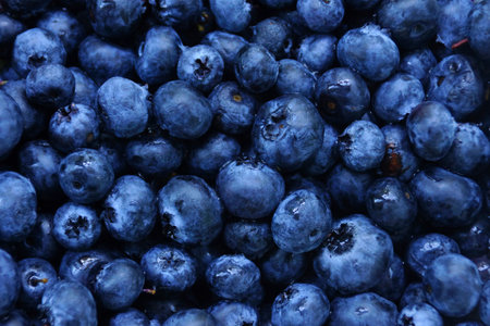 Raw blueberries dark dlue food background. Blueberries close up.の写真素材