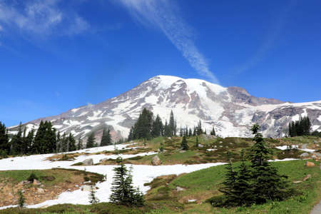 Mt. Rainier from alpine meadowsの写真素材