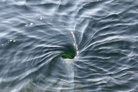 Whirlpool originating from incoming tideの写真素材
