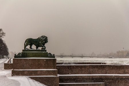 The lion on the palace embankment in St. Petersburg in winterのeditorial素材