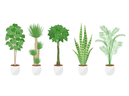Foliage illustration setのイラスト素材