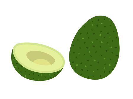 Avocadoのイラスト素材