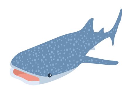 ジンベイザメ の画像 写真素材 ベクター画像 イメージマート