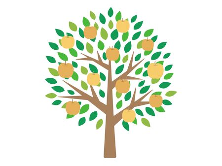 Pear Tree Illustrationのイラスト素材