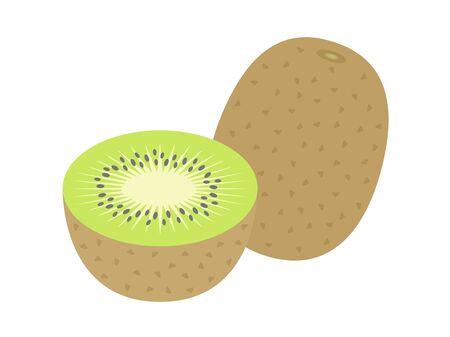 Kiwi Fruit Illustrationsのイラスト素材
