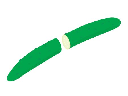 Illustration of cut cucumber.のイラスト素材