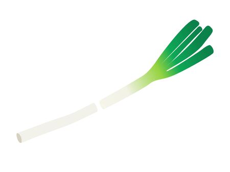 Illustration of broken leeks.のイラスト素材