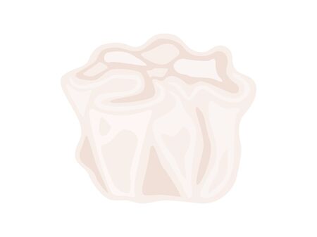 Chinese Steamed Dumplingsのイラスト素材