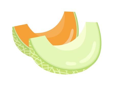 Illustration of cut melonのイラスト素材
