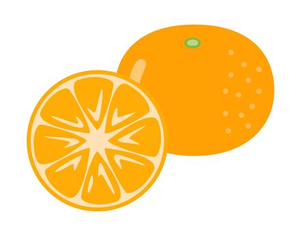 Mandarin orangesのイラスト素材