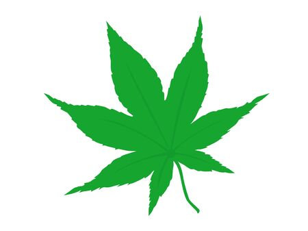 Summer foliageのイラスト素材