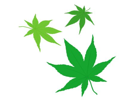 Summer foliageのイラスト素材