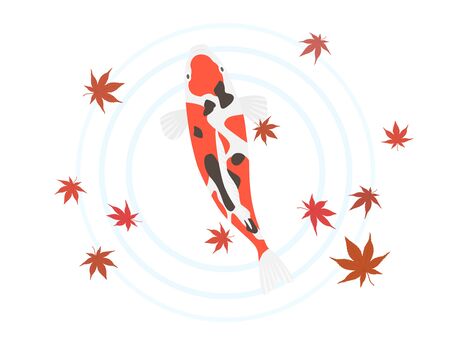 Illustration of a swimming carpのイラスト素材