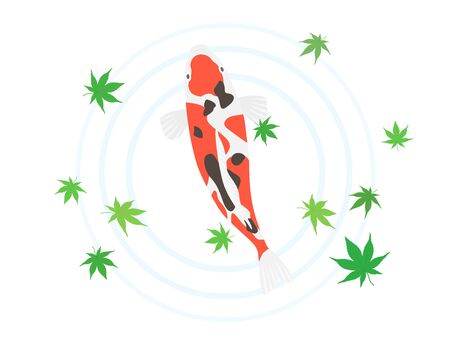 Illustration of a swimming carpのイラスト素材