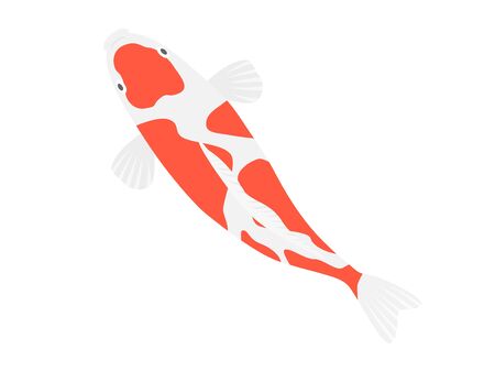 Illustration of a swimming carpのイラスト素材