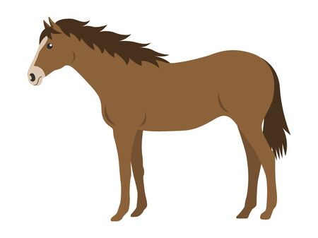 Illustration of a horseのイラスト素材