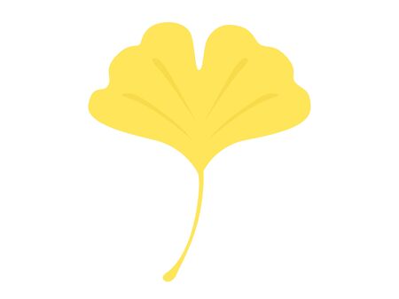 Ginkgo biloba leaf