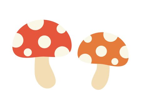 Illustration of a mushroomの写真素材