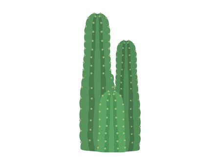 Cactus Illustrationsのイラスト素材