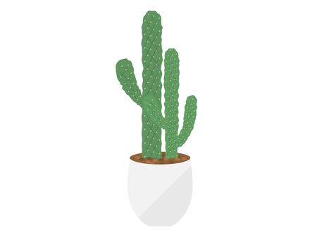 Cactus Illustrationsのイラスト素材