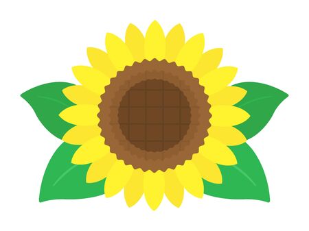 Illustration of sunflower flowersのイラスト素材