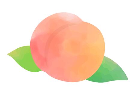 Peach Watercolor Illustrationsのイラスト素材