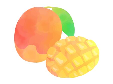 Mango Watercolor Illustrationsのイラスト素材