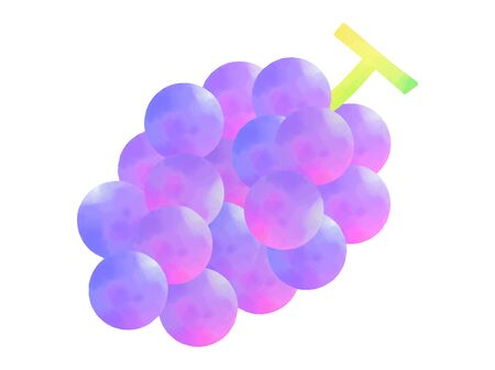 Watercolor illustrations of grapesのイラスト素材