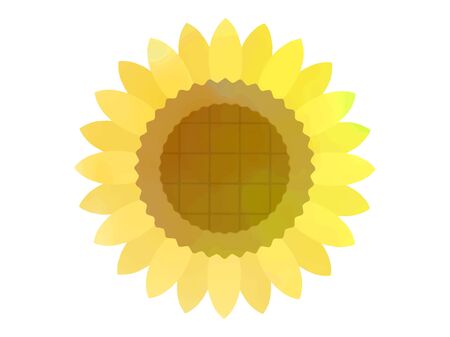 Sunflower Watercolor Illustrationsのイラスト素材