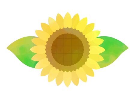 Sunflower Watercolor Illustrationsのイラスト素材