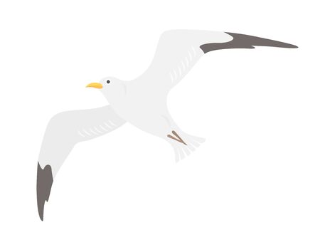 Seagull Illustrationsのイラスト素材