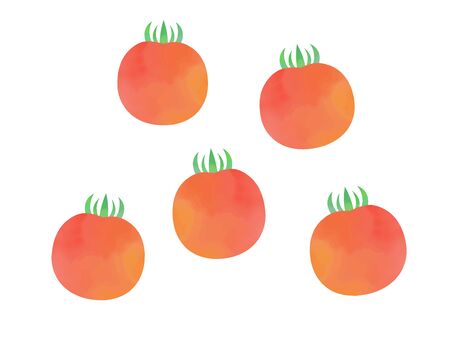 Mini tomato watercolor illustrationのイラスト素材