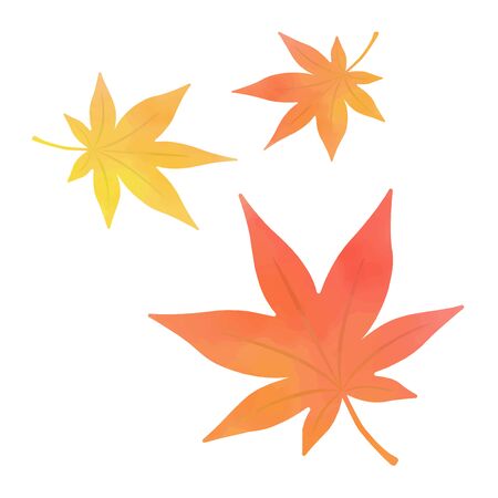 Watercolor illustration of leaves of autumn leavesのイラスト素材