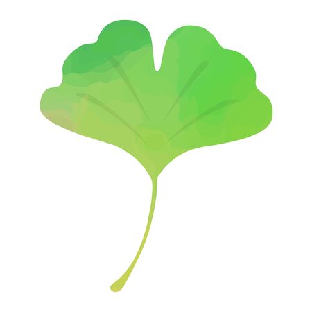 Watercolor illustration of ginkgo leavesのイラスト素材
