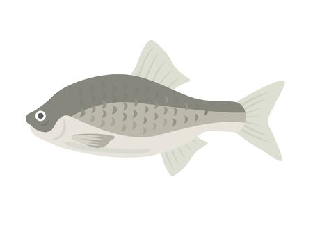Illustration of a tanago of freshwater fishのイラスト素材