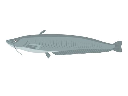 Illustration of a sea cucumber of freshwater fishのイラスト素材
