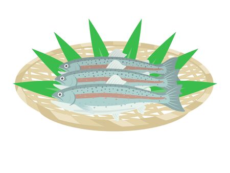 Illustration of rainbow trout in a cooler boxのイラスト素材