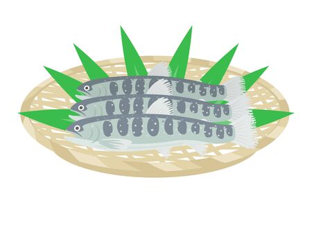 Illustration of Iwana on a monkeyのイラスト素材