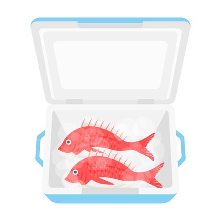 Illustration of a sea bream in a cooler boxのイラスト素材