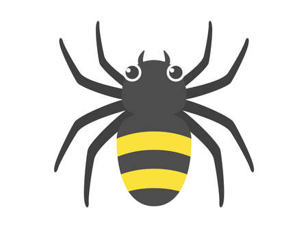 Spider Illustrationのイラスト素材