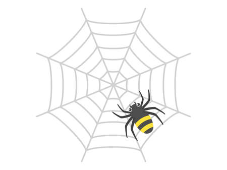 Spider's Web Illustrationのイラスト素材