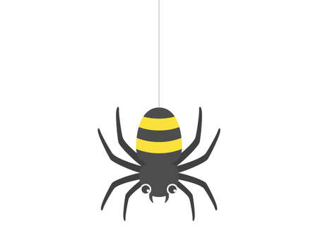Spider Illustrationのイラスト素材