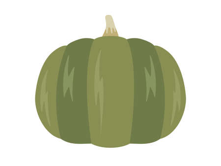 Illustration of a pumpkinのイラスト素材