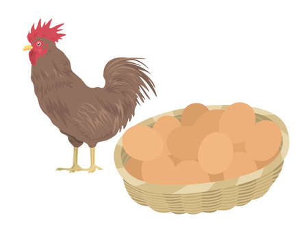 Illustrations of chickens and raw eggsのイラスト素材