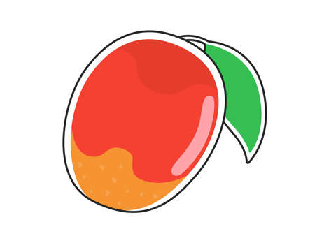 Fruit Mango Illustrationのイラスト素材